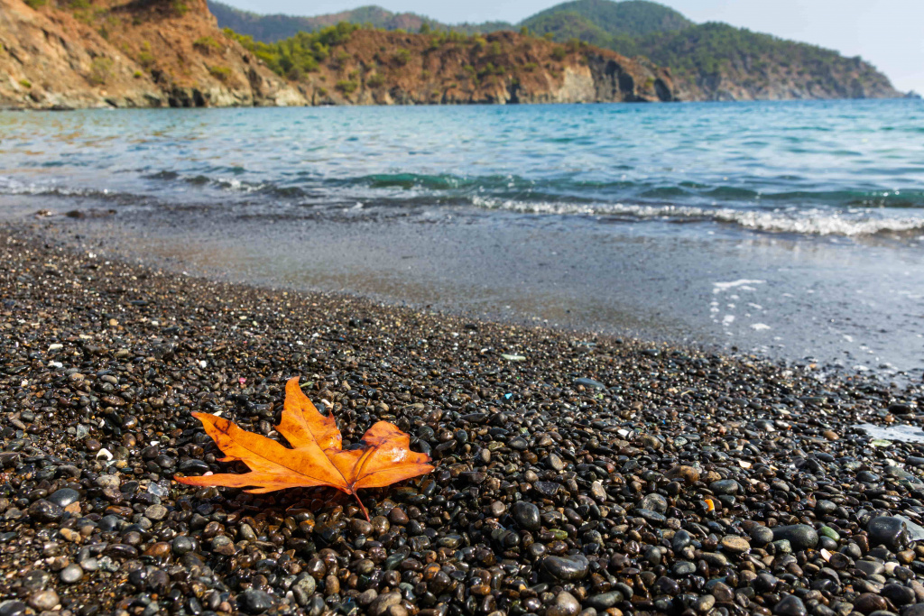 autumn-mediterranean-coast-turkey-warm-blue-sea-rocky-beach-orange-leaf-lies-beach-landscapes-lycian-trail (1).jpg
